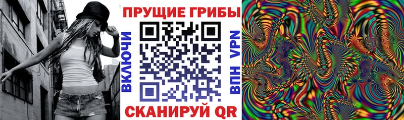 сколько стоит  Новопавловск  Галлюциногенные грибы Psilocybe 